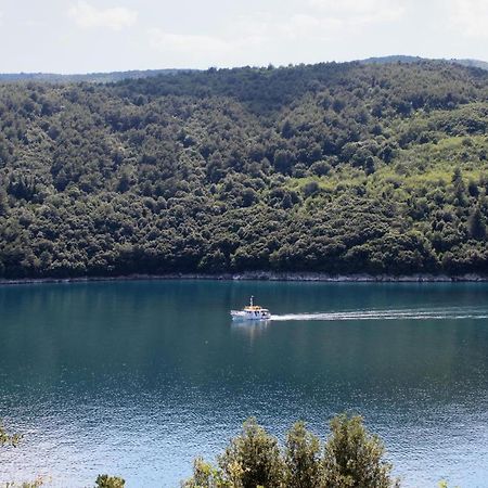 Apartments By The Sea Duga Luka - Prtlog, Labin - 3025 Exterior photo